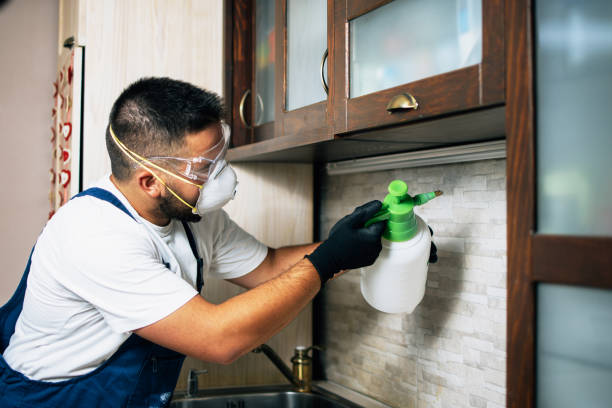 Best Pest Inspection Near Me  in Walkerton, IN