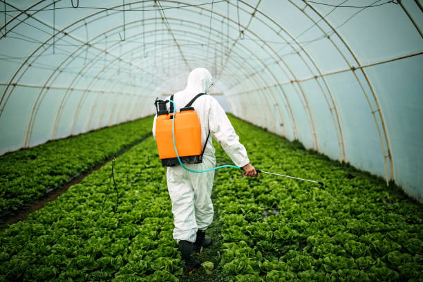 Professional Pest Control in Walkerton, IN