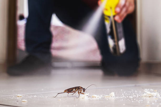 Best Cockroach Control Services  in Walkerton, IN