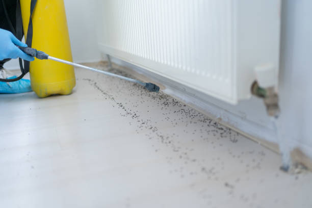 Best Wildlife Control Services  in Walkerton, IN