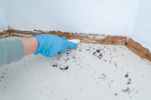 Best Commercial Pest Control Services  in Walkerton, IN